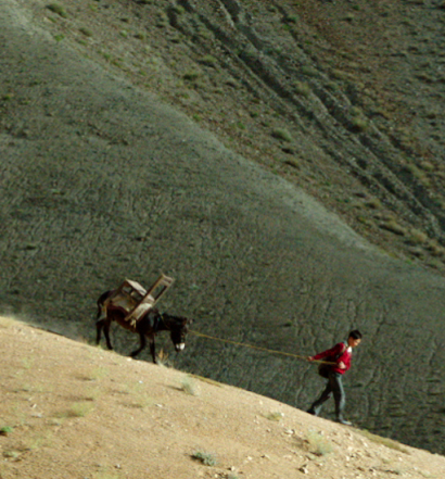 A still from ‘Walking with the Wind’