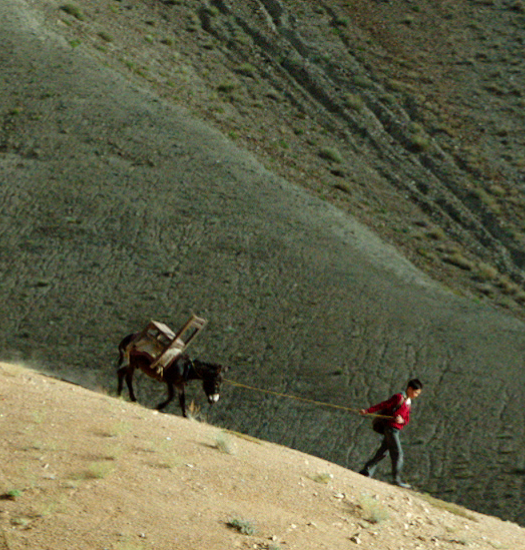 A still from ‘Walking with the Wind’
